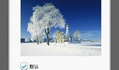 国产大色网,引领色彩潮流的视觉盛宴