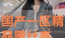 国产在线黑丝,时尚潮流下的独特魅力