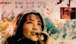 国产国语对白,国语对白演绎的时代风采