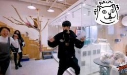 国产秦先生,探寻中国汽车工业的崛起之路