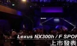 国产H视频在线,探索中国网络影视新纪元