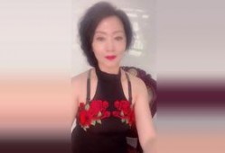 国产阿姨在线,揭秘中国家庭服务业的崛起与魅力