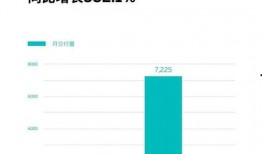 国产分类在线,探索我国特色产品与产业的蓬勃发展