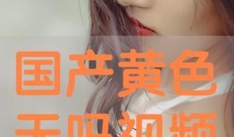 国产视频成人,探索中国影视产业的独特魅力与挑战