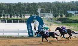 国产无马,引领绿色出行新潮流