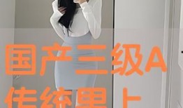 国产三级高清在线播放,在线观影新体验