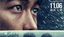 国产片一级,匠心独运，光影交织的视听盛宴