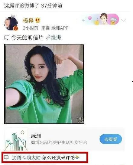娱乐圈吃瓜小程序有哪些,揭秘明星幕后故事，一键掌握娱乐资讯速递